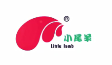 内蒙古小尾羊