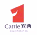 辽宁宾西集团
