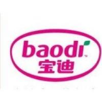 宝迪集团