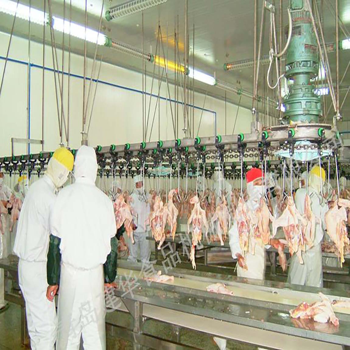 Concept of slaughtering equipment
