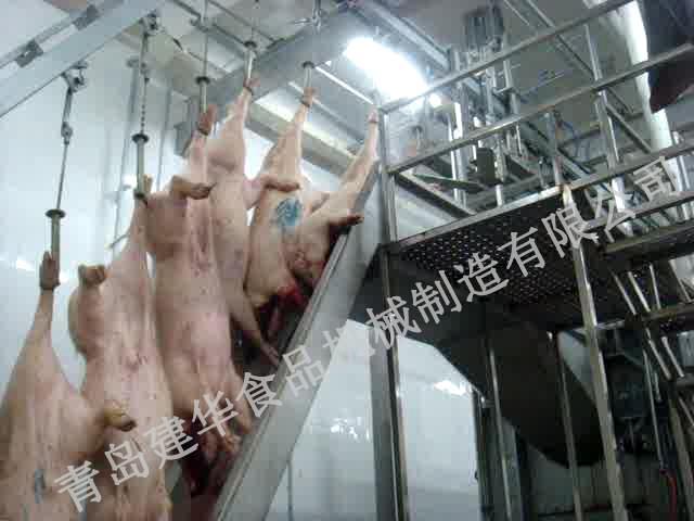 The era of pig slaughtering by hand may come to an end