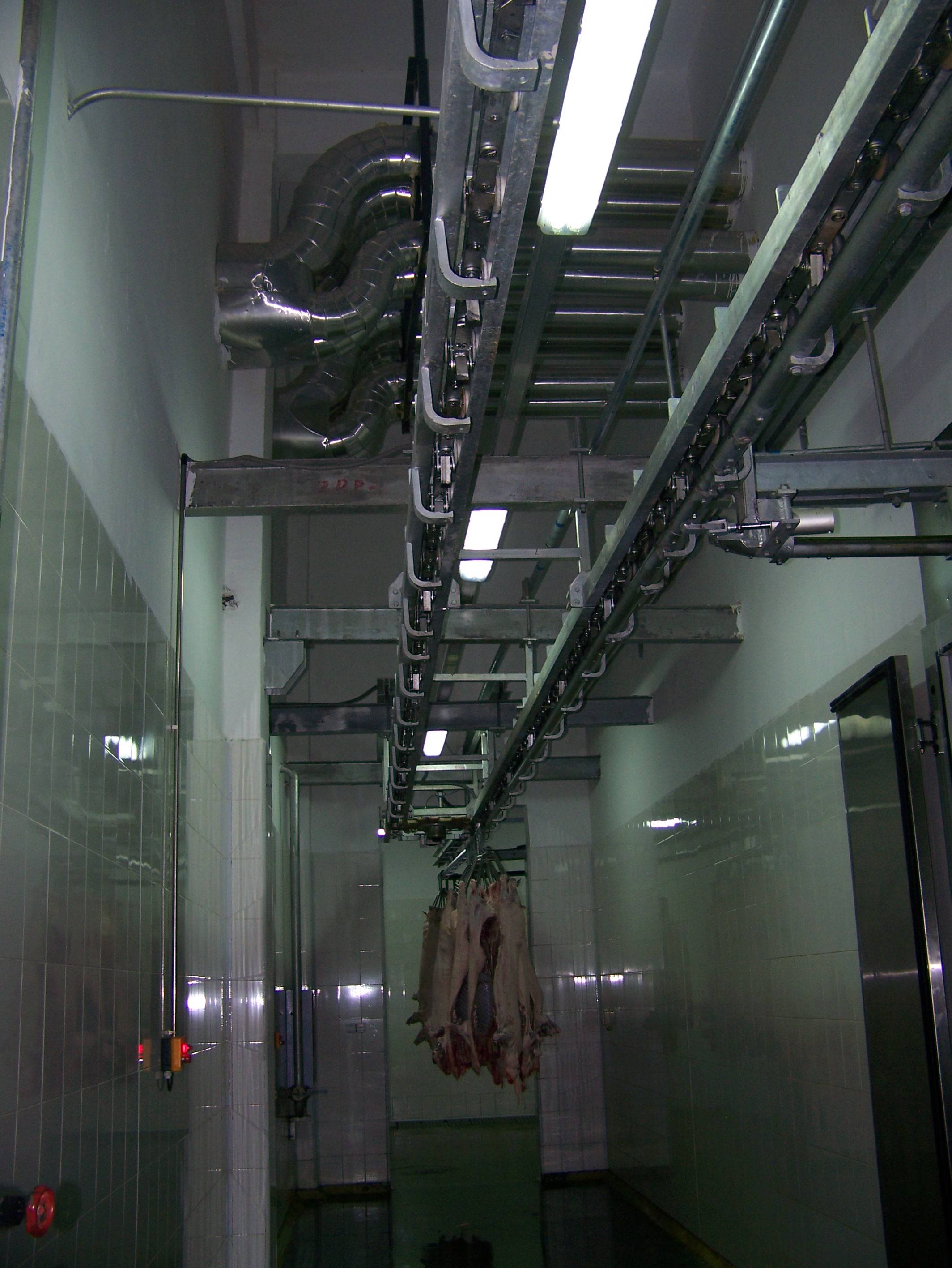 Questions about managing the slaughterhouse