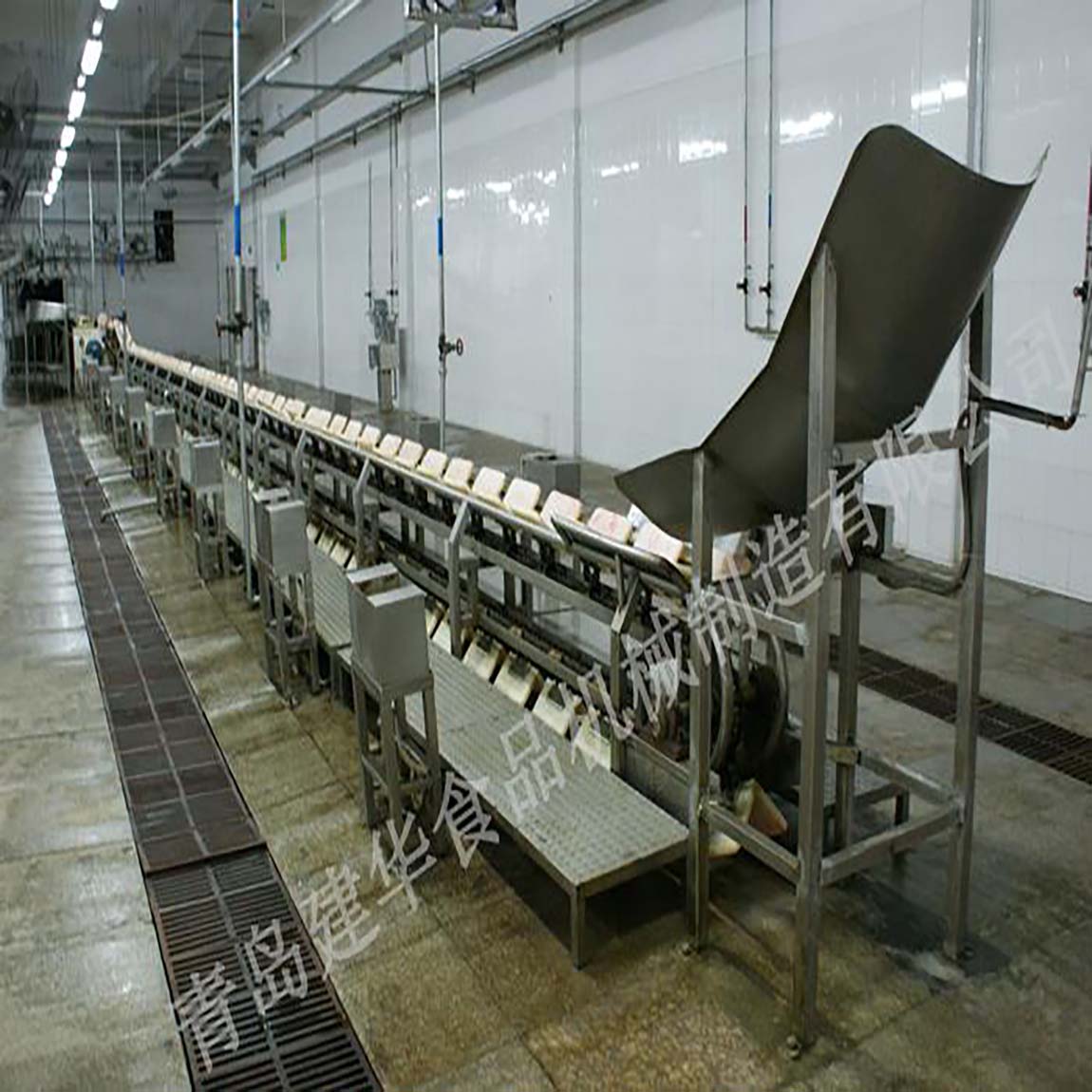 Pre-dehiding Conveyor