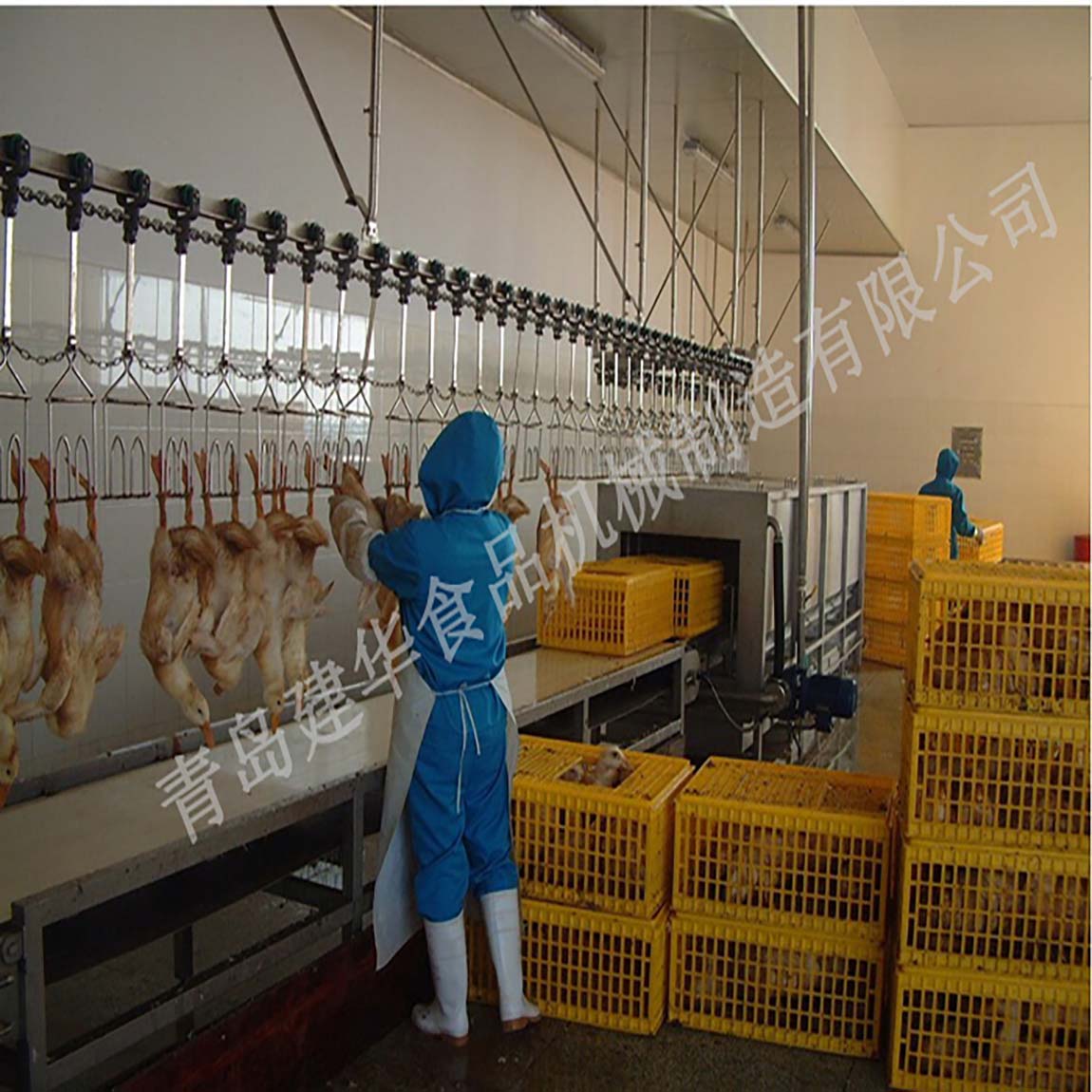Poultry products Accessories