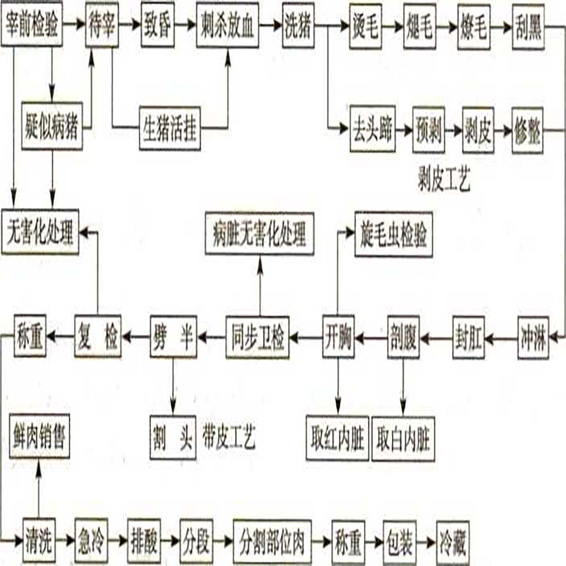 生猪屠宰加工工艺